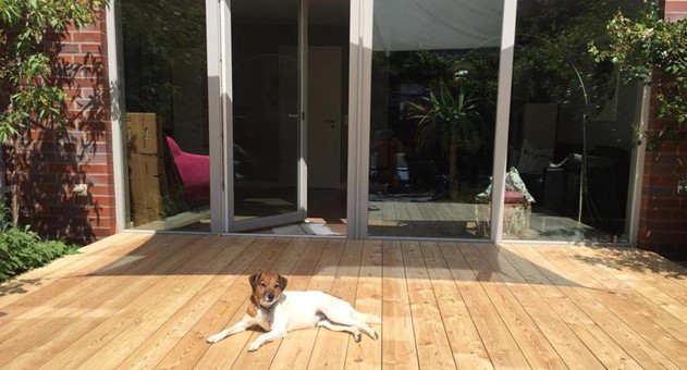Parkett und Dielen